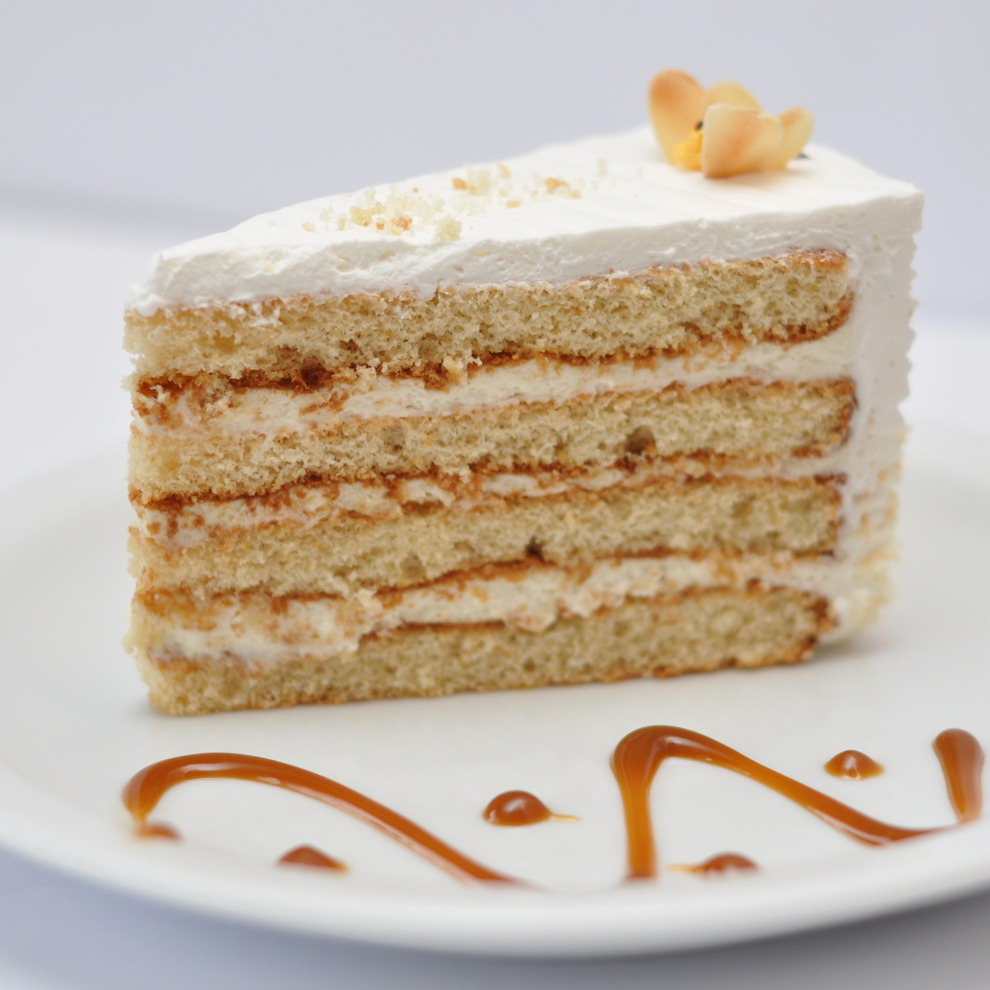 Egg-less Vanilla Cake