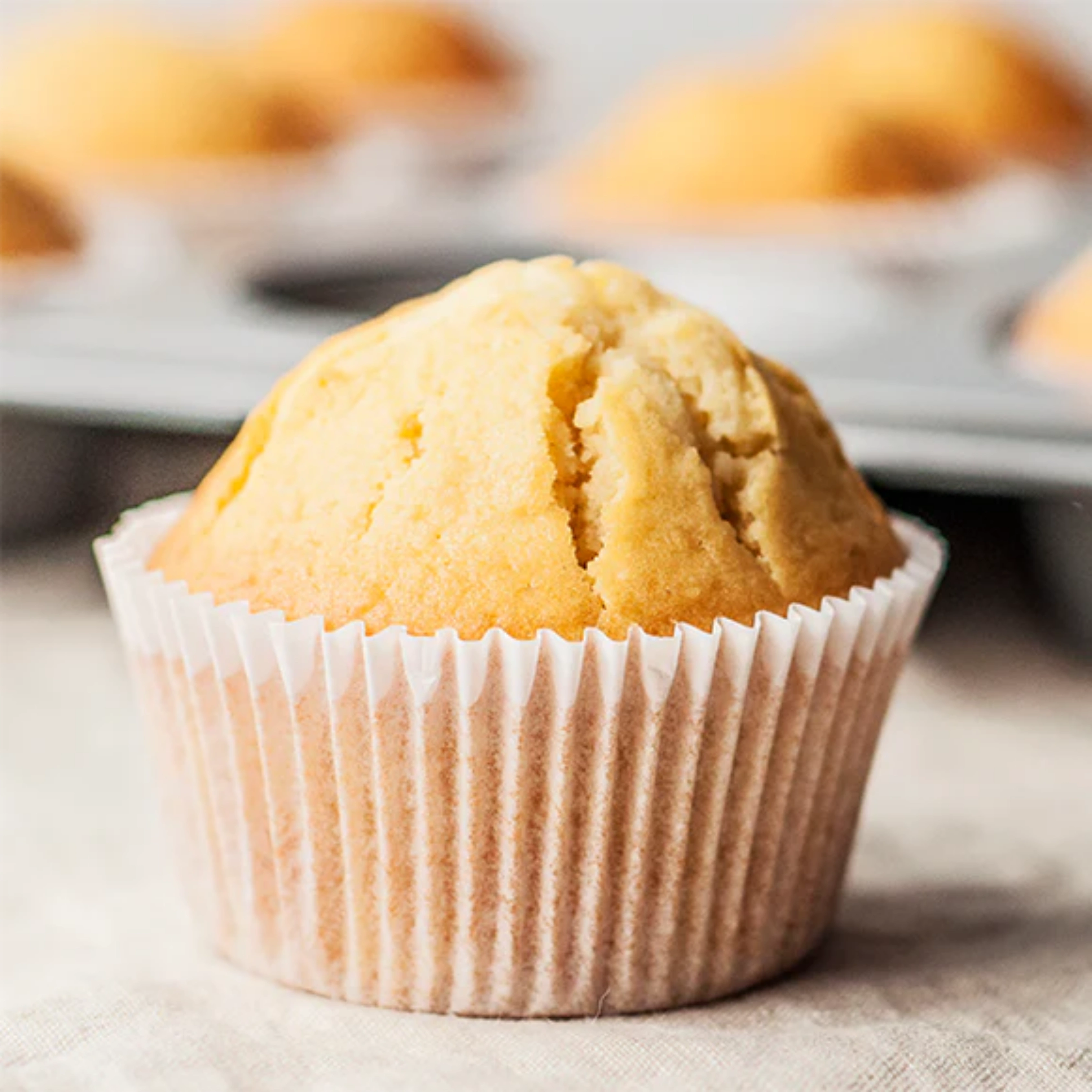 Egg-less Vanilla Cake